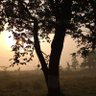 Фото профиля आम विचार माने People Thought👽