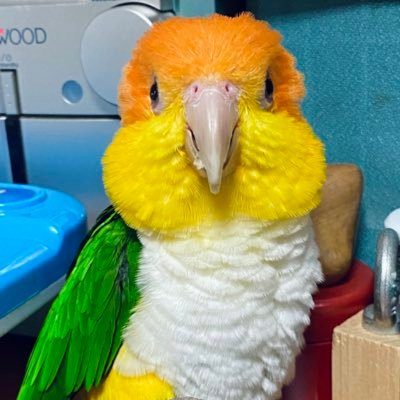 関根浩's profile picture