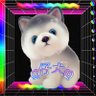 黒͛山͛羊͛ღღ🗿仔犬👽ღღ 的头像