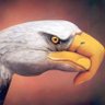 Javier Passos's profile picture