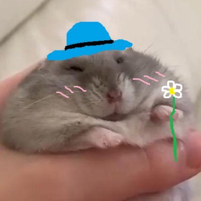 biscuitmyhamster's profile picture