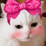 kozu 的头像