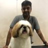 saroj singh's profile picture