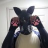 Profilbild von CBUSlatex, switch/side