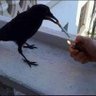 hugont profil fotoğrafı