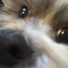 fairsider's profile picture