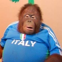 Bazookles's profile picture