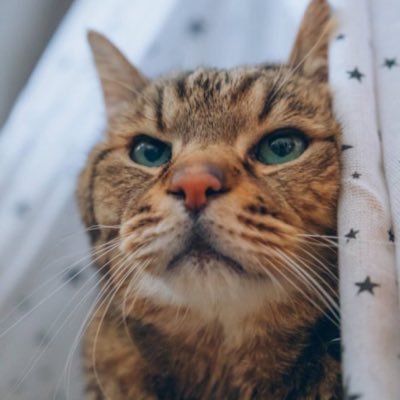 美紀's profile picture