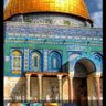 Alaa Eldin Ghanem's profile picture