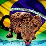 al rodrigues's profile picture