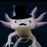 Profilbild von spejismo_yt
