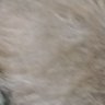 Hi profil fotoğrafı