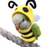 Seth Kirchner's profile picture