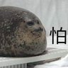 zuttao's profile picture