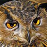 秋瀬虎徹 profil fotoğrafı