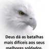 Profilbild von Tamara Alves