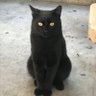 cervantmachine.com's profile picture