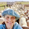 Carola Raspo's profile picture