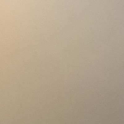 Trixie's profile picture