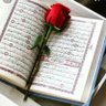 Фото профиля MUHAMMED ALİ