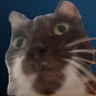 Profilbild von SR may
