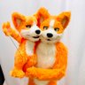 冬尾(ふゆび)🐶🐶🐱🐶🐶🦊's profile picture