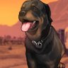 Garbutt Philemon's profile picture