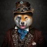 jameson.doge 的头像
