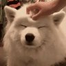 Krazy_Pupp👣 profil fotoğrafı