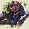 Фото профиля Legendary Cryptids