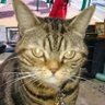 Profilbild von mirol2222