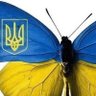 Володимир Можаров 的头像