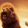 Profilbild von Lion heart