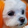 Profilbild von ひろ (エル・オフィス)
