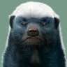 Profilbild von Dad_Baud