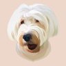 Profilbild von Gill Castle