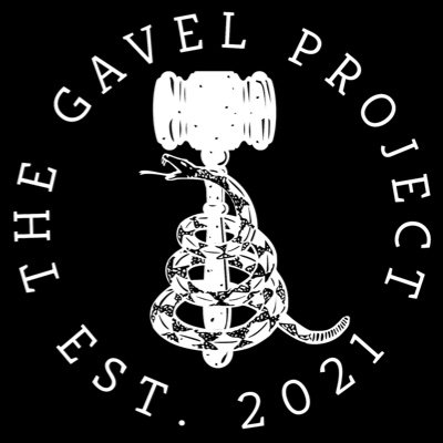 thegavelproject's profile picture