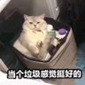 lfesergg 的头像