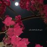 سقرآط ✨'s profile picture