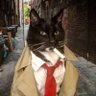 Conspiracy_Cat 的头像