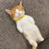 biboo profil fotoğrafı