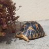 Profilbild von CarolM-974