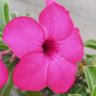 Karthick's profile picture