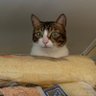herman00800 profil fotoğrafı