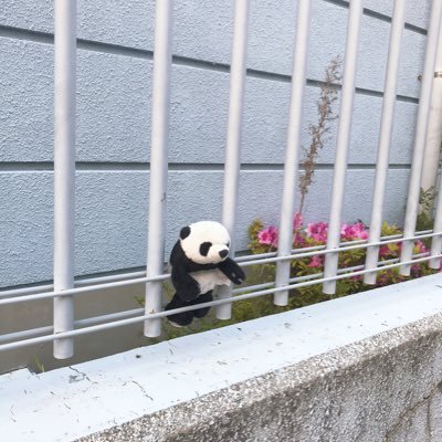 painappurrrrru's profile picture