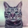 Profilbild von 冬至