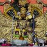 Фото профиля sp yadav