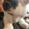 yu77j's profile picture