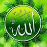 Profilbild von صباح شاكر