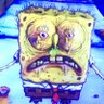 Goldstein pier's profile picture